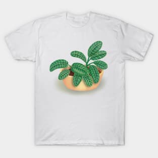 House Plant Potted Tropical Leaf Illustration T-Shirt